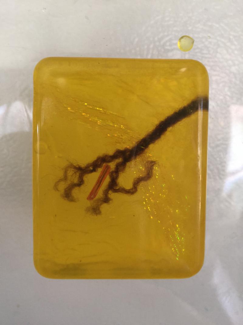 Dino DNA Mosquito trapped in amber soap